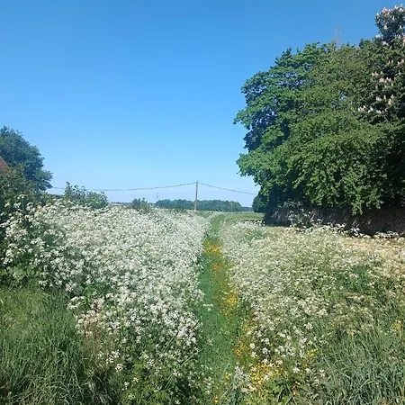 Duplex Dans Belle Propriete Avec Piscine Apartment Les Essarts-le-Roi